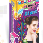 Flower Pots Giant