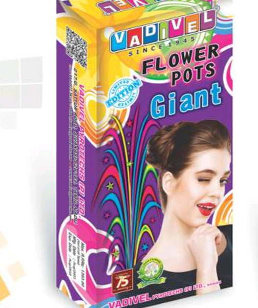 Flower Pots Giant